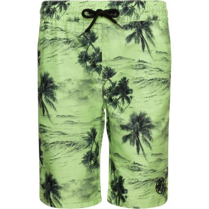 Chlapecké plavecké šortky SAM 73 Erasylo zelené