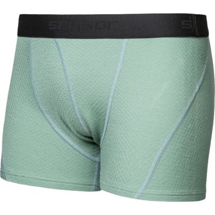 Pánské merino trenky SENSOR Df basil green (Velikost XXL, Barva zelená)