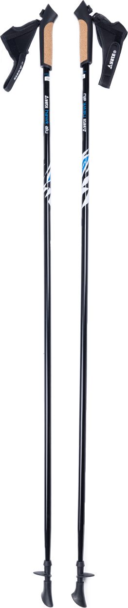 Nordic walking hole YATE Alu 110 cm