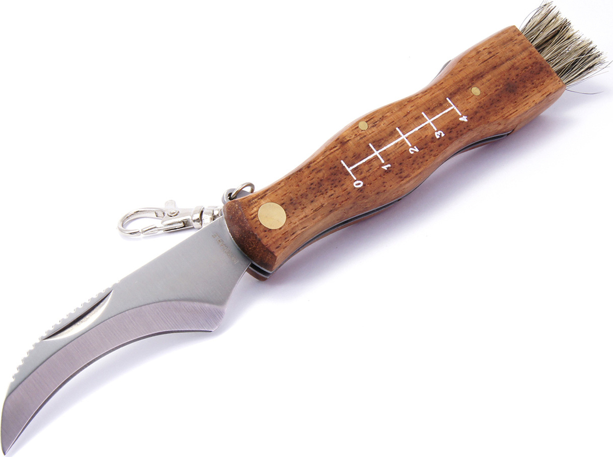 Zavírací houbařský nůž s pouzdrem MAM 2591 - buk, 7,5 cm