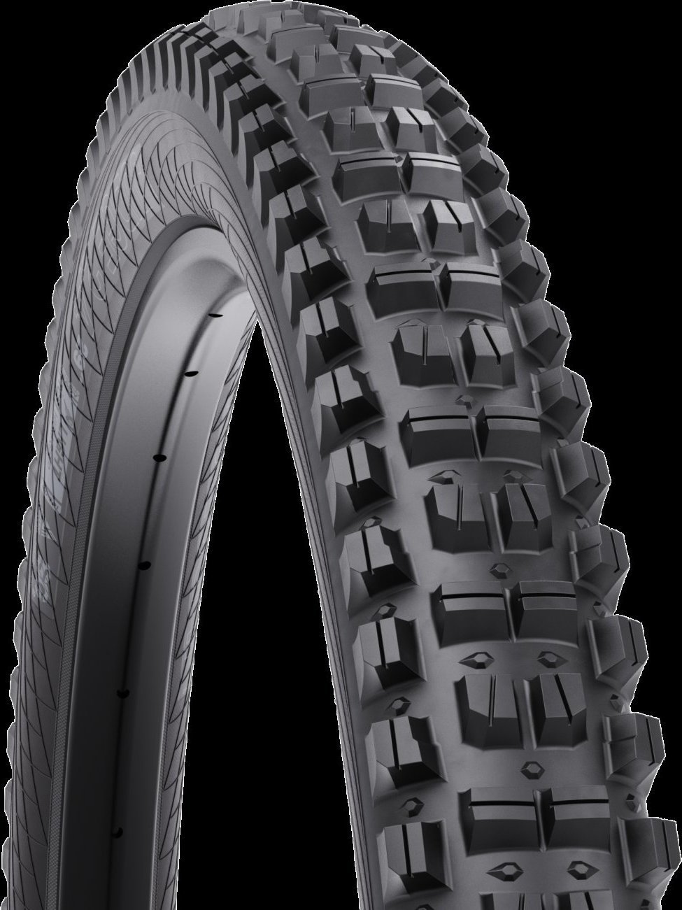 WTB plášť JUDGE 2.4 29'' TCS Light High Grip TriTec SG2 černá