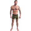 Pánské merino trenky SENSOR Active safari green (Barva zelená, Velikost M)