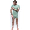 Pánské merino triko SENSOR Air basil green (Velikost XXL, Barva zelená)