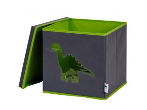 box s okénkem dinosaurus