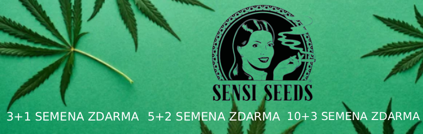 Sensi Seeds 3