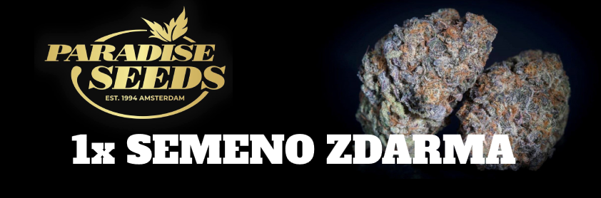 Paradise Seeds 1x SEMENO ZDARMA