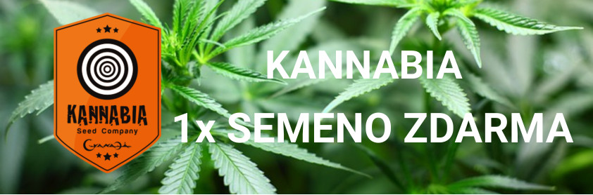 Kannabia