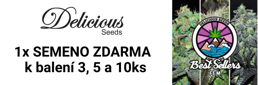 Delicios Seeds 1x semeno zdarma