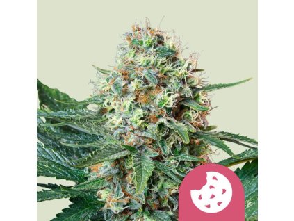 royal cookies
