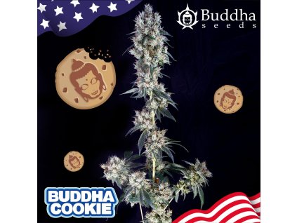 Buddha Seeds Buddha Cookie