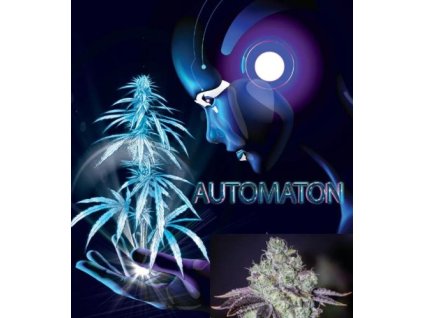 automaton