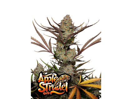 fastbuds apple strudel auto
