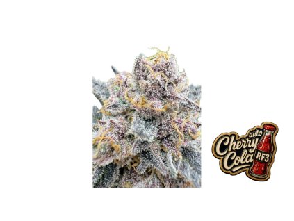cherry cola auto rf3