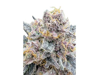 cherry cola auto rf3