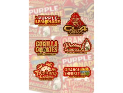 FastBuds Mix Pack FAST