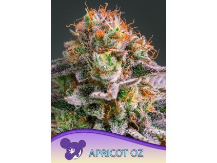 Anesia Seeds Apricot Oreoz