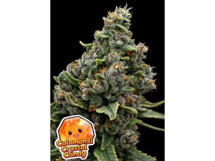 Anesia Seeds Calamansi Crystal Candy