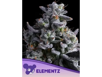 Anesia Seeds Elementz