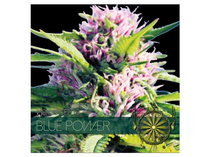 vision seeds blue power