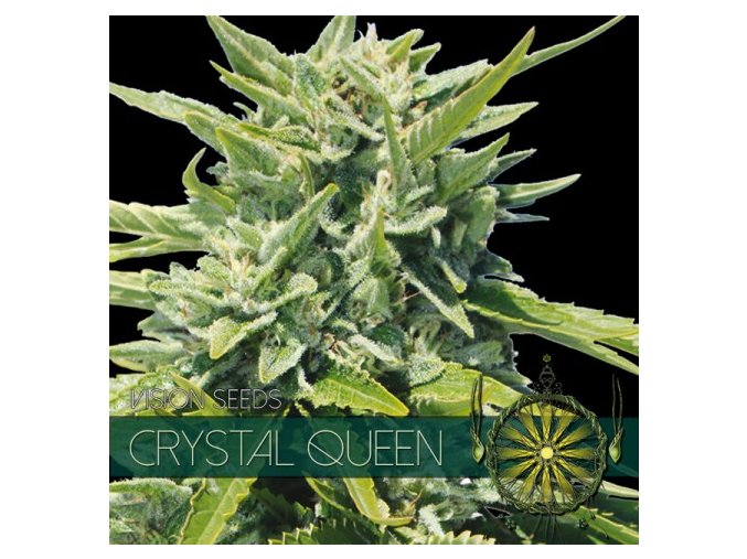 vision seeds crystal queen