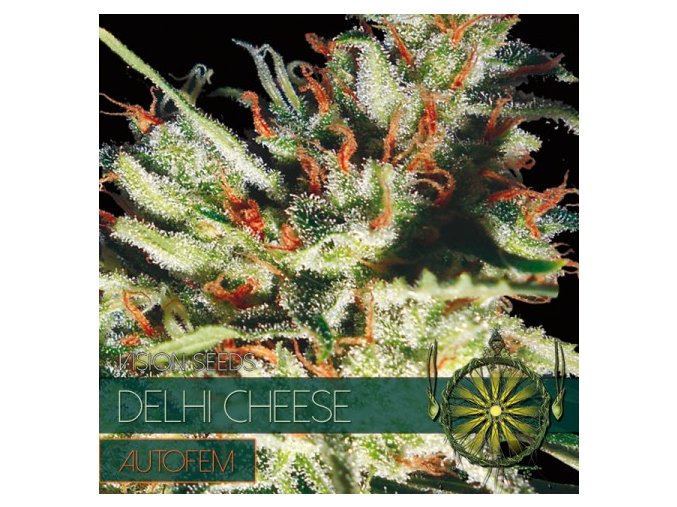 autofem vision seeds delhi cheese