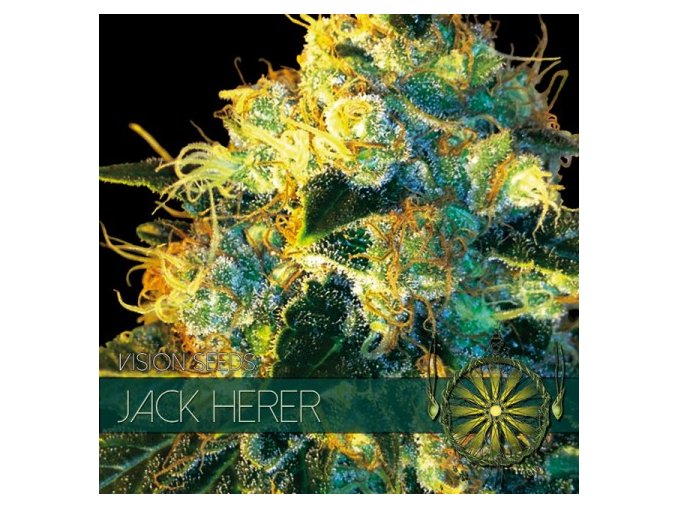 vision seeds jack herer