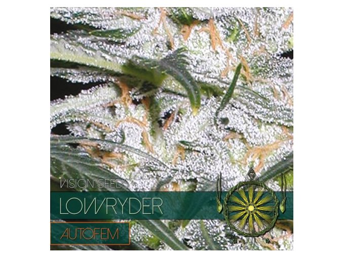 autofem vision seeds lowryder