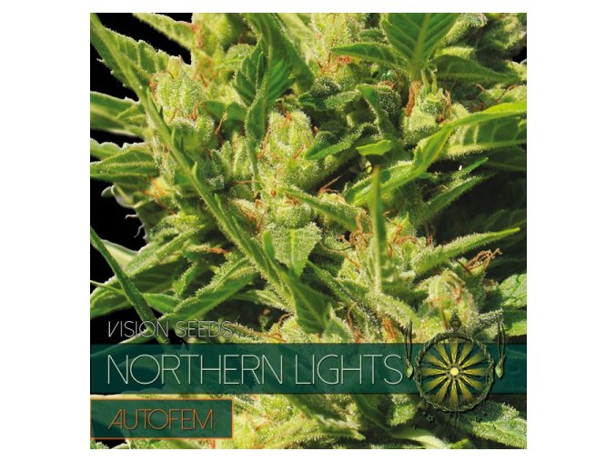 autofem vision seeds northern lights