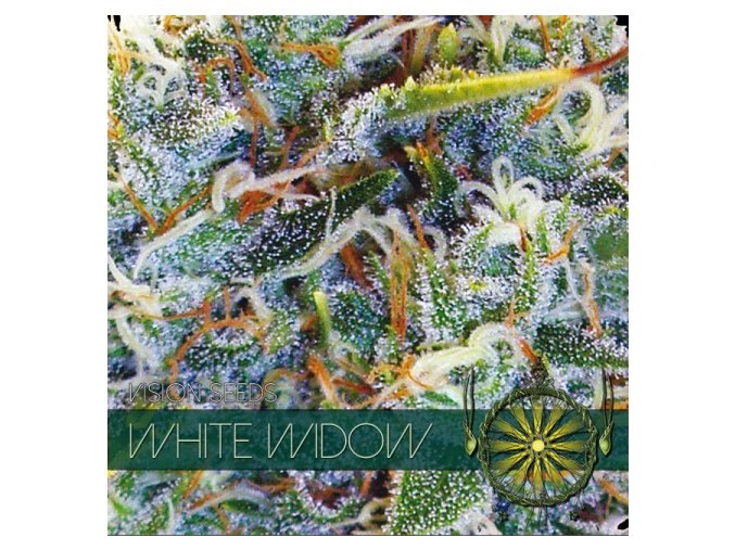 vision seeds white widow