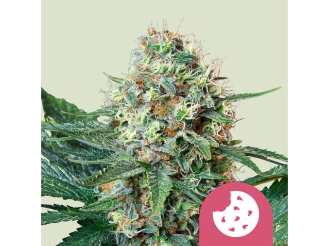 royal cookies