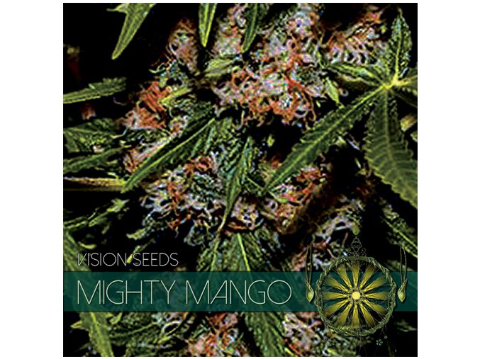 vision seeds mighty mango500x500