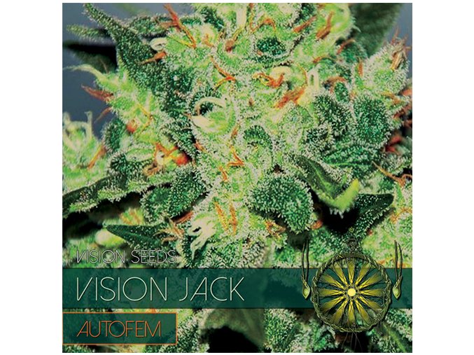 vision seeds auto jack500x500