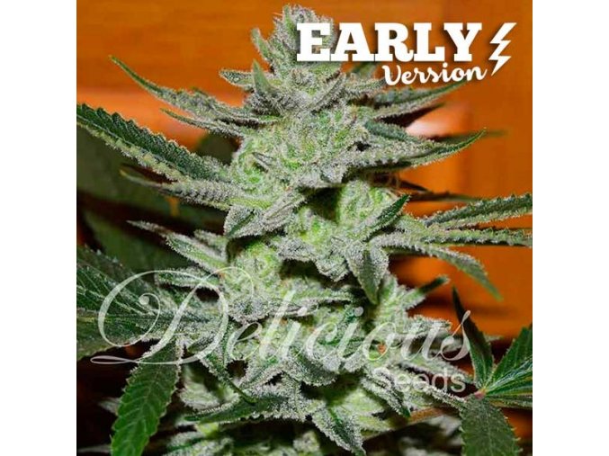 unknown kush early version 4