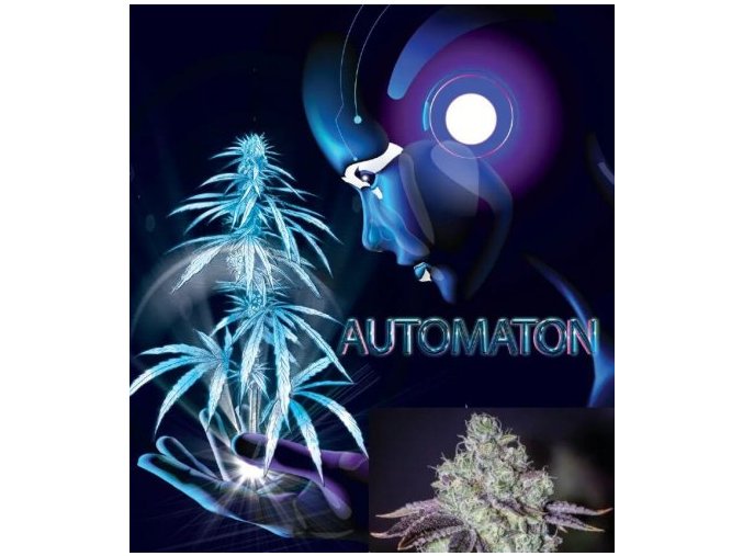 automaton