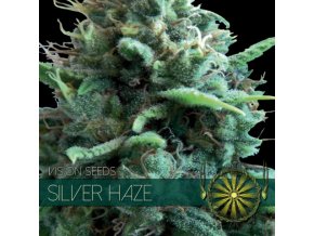 vision seeds silver haze