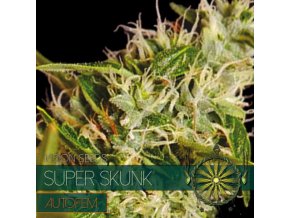 autofem vision seeds super skunk