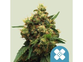 painkiller xl