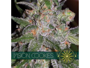 vision seeds cookies500x500