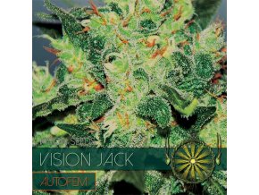 vision seeds auto jack500x500