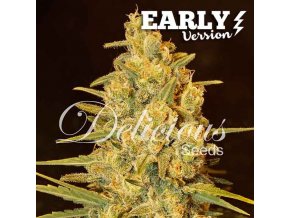 critical sensi star early 4