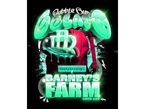 Barney's Farm Bubblegum Gelato