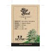 skunk seeds big bud