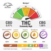 meringue terpenes and cannabinoids dutch passion cannabis seed company