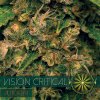 vision seeds auto critical500x500