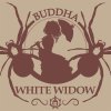 Buddha Classics White Widow