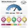 CBD Auto Blackberry Kush terpenes and cannabinoids dutch passion cannabis seed company