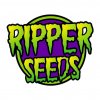 ripper seeds