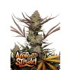 FastBuds Apple Strudel Auto