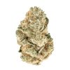 FastBuds Gorilla Melon