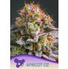 Anesia Seeds Apricot Oreoz